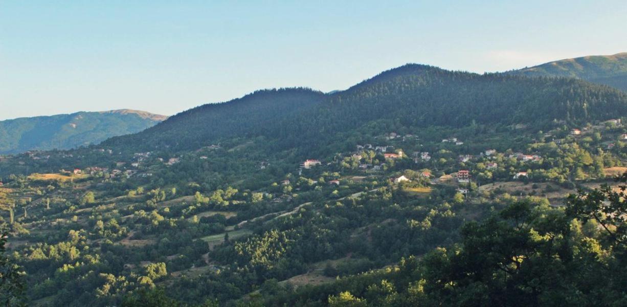 Omilaia Hotel Gardiki Eksteriør billede